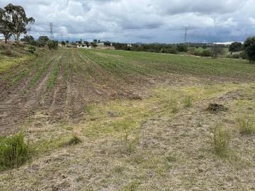 Terreno en Ahuashuatepec