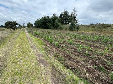 Terreno en Ahuashuatepec