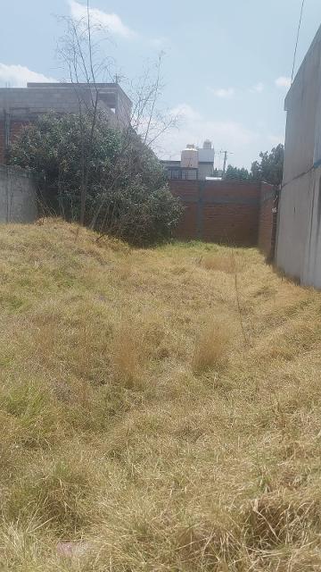 LOTE CALLE 31