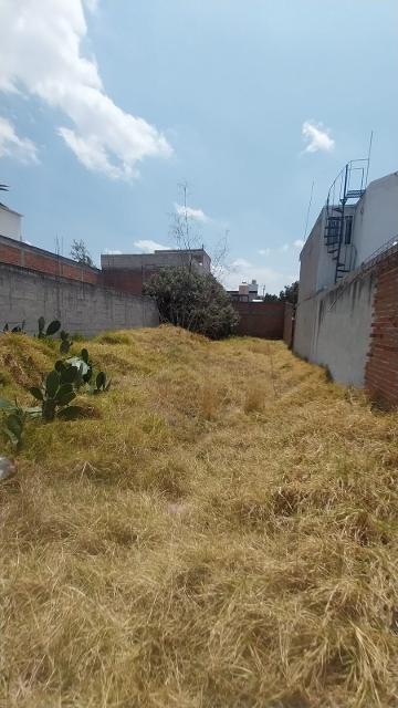 LOTE CALLE 31