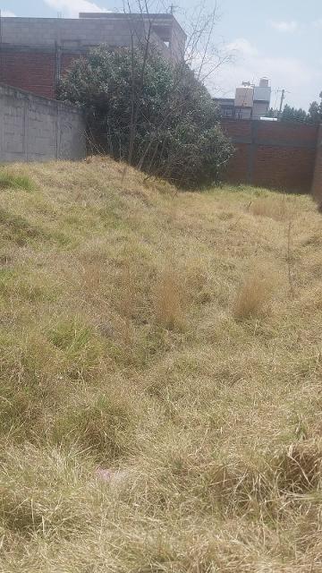 LOTE CALLE 31