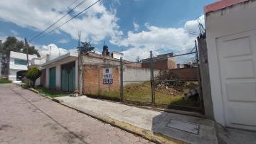 LOTE CALLE 31