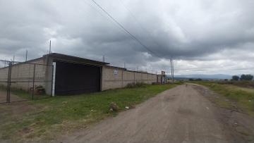 ¡Terreno en Renta en Huamantla, Tlaxcala!