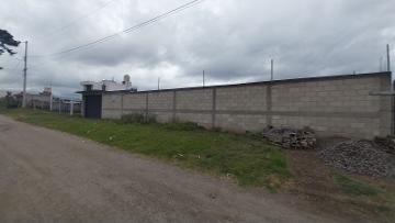 ¡Terreno en Renta en Huamantla, Tlaxcala!
