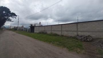 ¡Terreno en Renta en Huamantla, Tlaxcala!