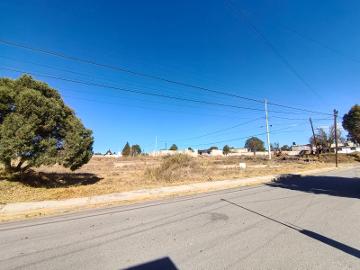 TERRENO EN VENTA EN SANTA MARÍA TEXCALAC, APIZACO.