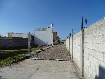 ¡Lotes en venta en San Pablo Apetatitlán!